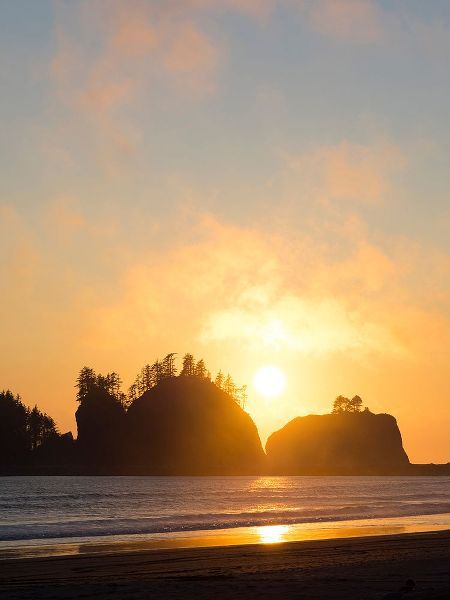 Wild, Jamie and Judy 아티스트의 Washington State-Pacific Coast-First Beach sunset작품입니다.